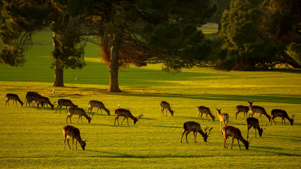 Brijuni National Park